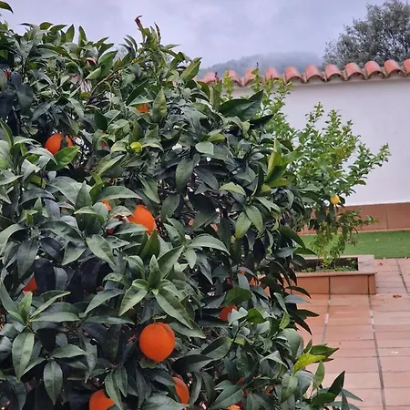 Appartamento La Casa Del Patio Zafra Esterno foto